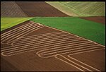 Graphisme agricole - passage du broyeur de pierres