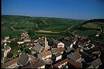 Village vinicole de Monthelie