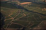 Vignes pres de Chablis