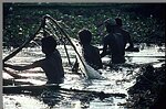 Mouillage de la jute