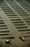 Plages du dÈbarquement ¦ Arromanche : Bouchots - conchiliculture
