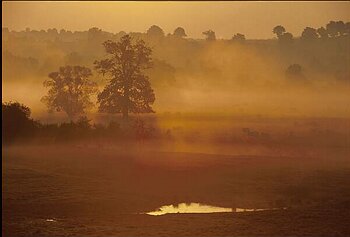 Auvergne - Allier - brume sur bocages