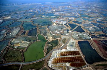 Pays de Loire - Loire Atl. - Guerande Salines