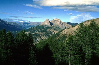 PACA - Alpes de Htes Prov. - Col D'Allos