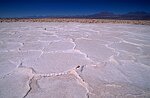 Salants d'Atacama