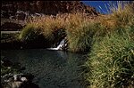 Source d'eau chaude prËs de Turi