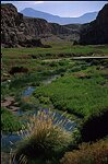 Riviere Oasis d'El Loa au milieu du dÈsert