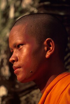 Cambodge : les Temples Kmers retrouvs