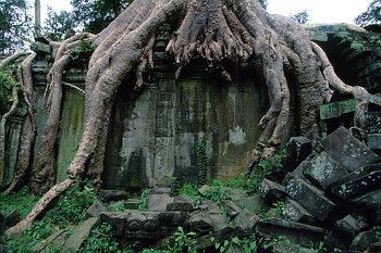 Cambodge : les Temples Kmers retrouvs