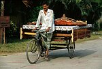transport des décors sur Rickshaw