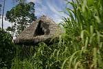 Amazonie - Napo
maison typique aus toits d'herbes