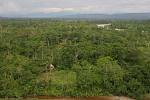 Ecuador -Napo - Amazonia
Maison perdue au milieu de la foret equatorienne en Amazonie