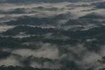 Ecuador - Napo - Amazonie - Punta Ahuano
Brume et brouillard sur la foret amazonienne