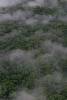 Ecuador - Napo - Amazonie - Punta Ahuano
foret et nuage en Amazonie Equatorienne