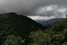 Ecuador -Pichincha -Sumaco National Park