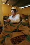 Equateur - Hacienda Las Canas - Ferme de Cacao
Sergio Cedeno Amador dans la remise des meilleurs crus de cacao